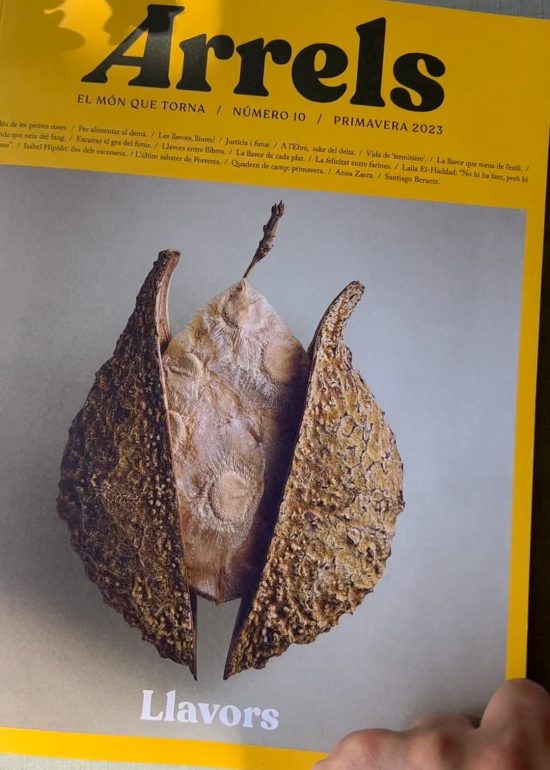 Ja ha sortit la revista Arrels de primavera @monarrels al mercat . Amb més de 200 pàgines dedicades a les llavors. Una obra preciosa amb un ...