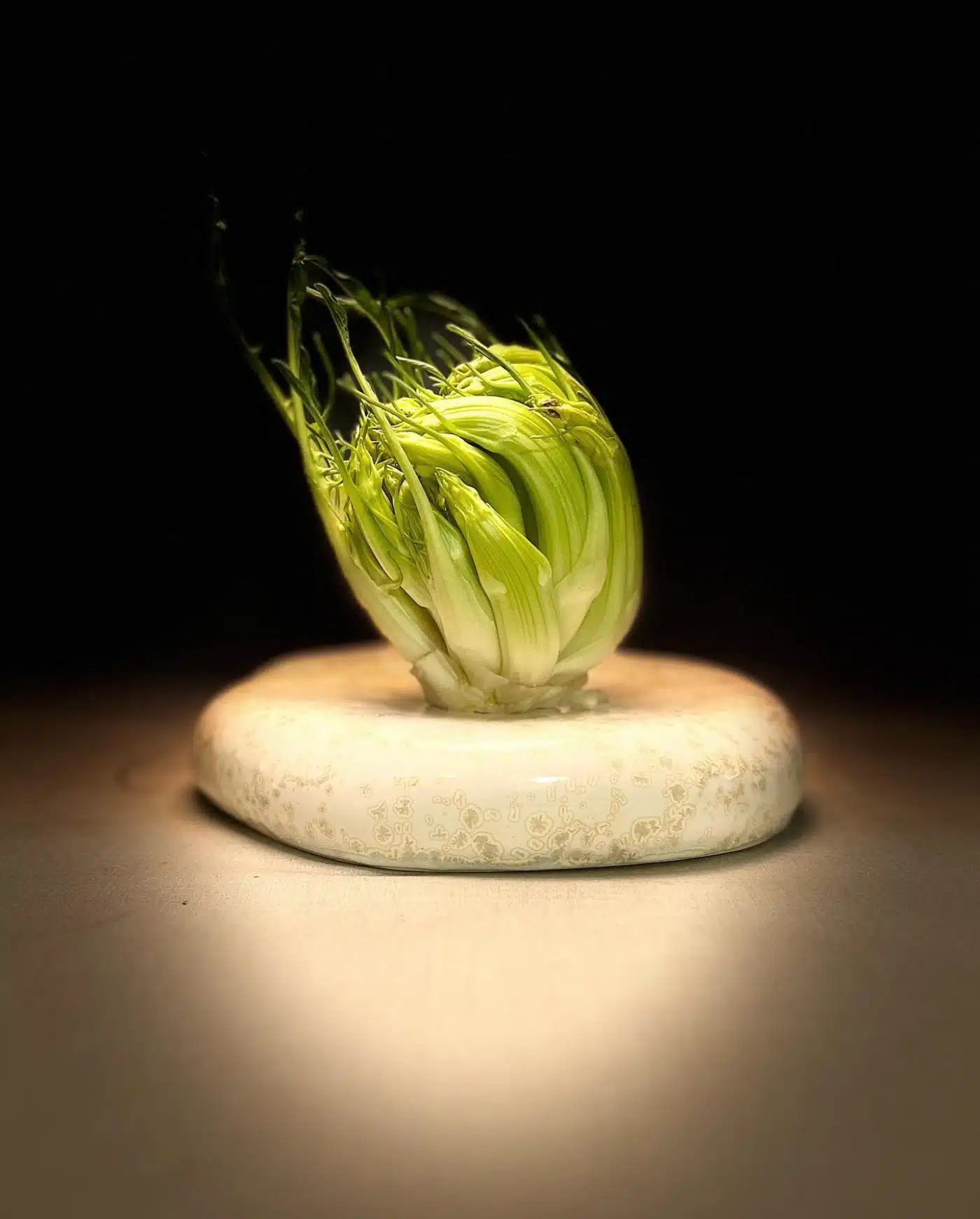 Si no la coneixeu, aviat ho fareu! Heu sentit a parlar de la #Puntarelle ?
A Itàlia és famosa, i en fan la típica amanida puntarelle a la r...