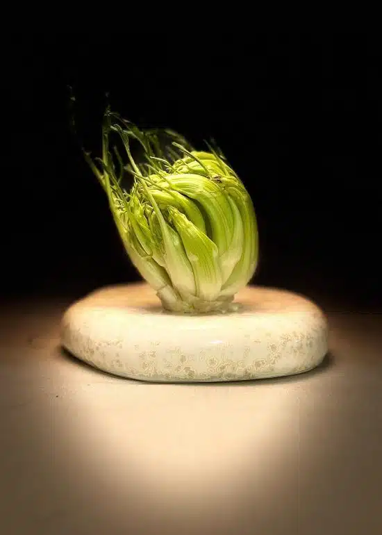 Si no la coneixeu, aviat ho fareu! Heu sentit a parlar de la #Puntarelle ? 
A Itàlia és famosa, i en fan la típica amanida puntarelle a la r...