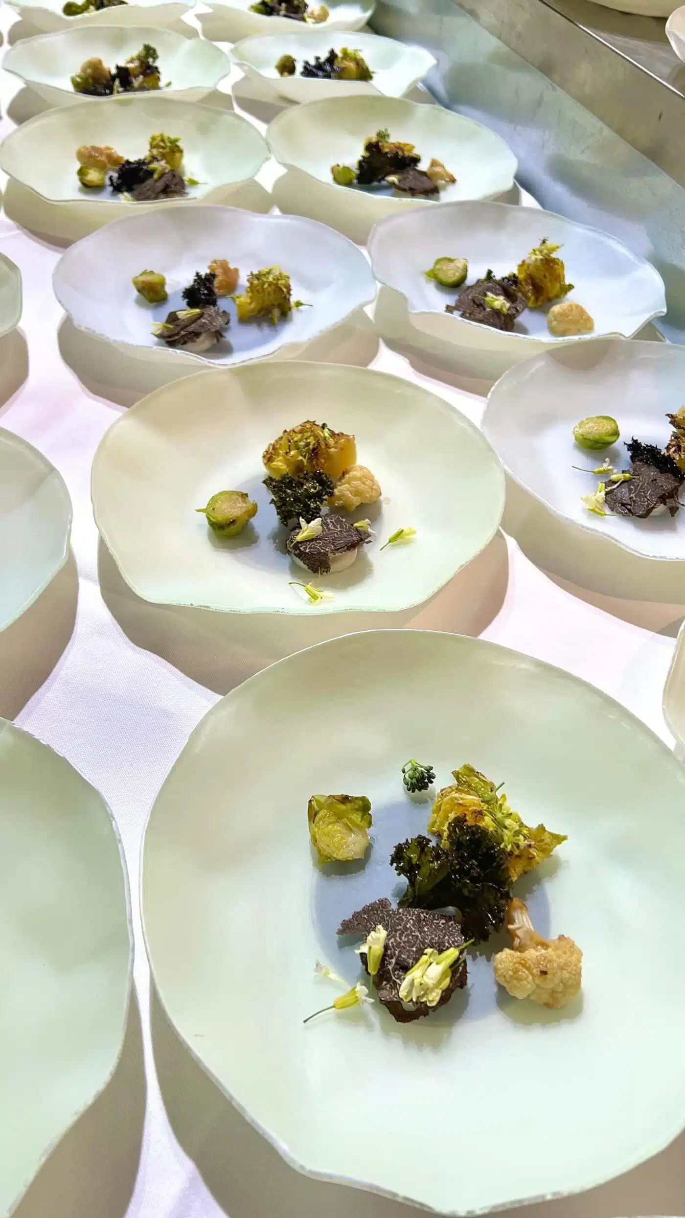 Esta semana me he ido a Bologna a cocinar uno de los menús de las jornadas #Antropoceno2023 organizado por @etabetacoop , una cooperativa so...